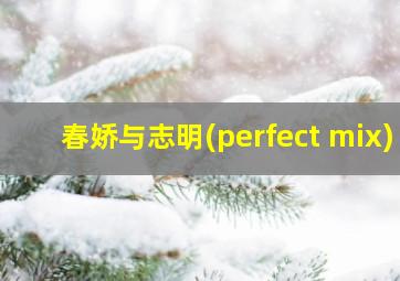 春娇与志明(perfect mix)